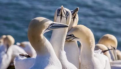 大理2026年最新杭州高端商务伴游招聘网渠道分享(最方便真实的大理茉莉伴游伴游天下全国联盟方法)