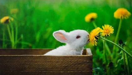 大理2026年最新杭州高端商务伴游招聘网渠道分享(最方便真实的大理茉莉伴游伴游天下全国联盟方法)